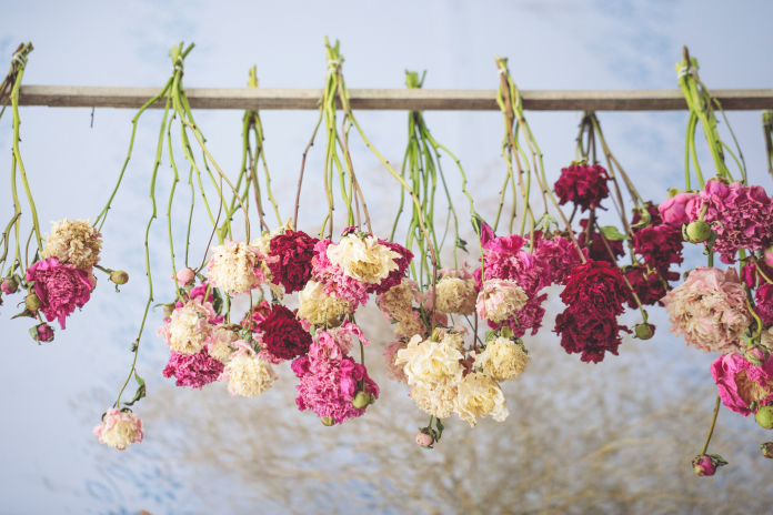 How to dry flowers?